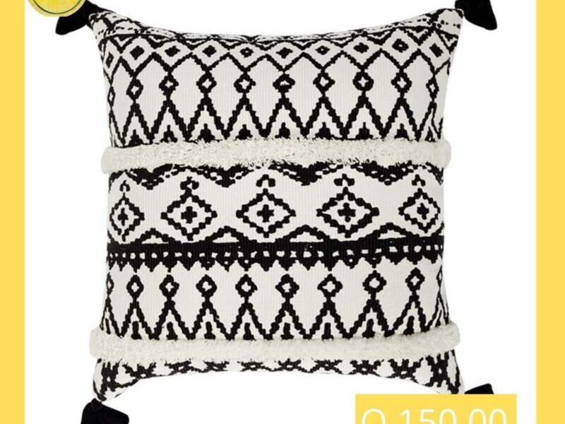 Cojin blanco y negro