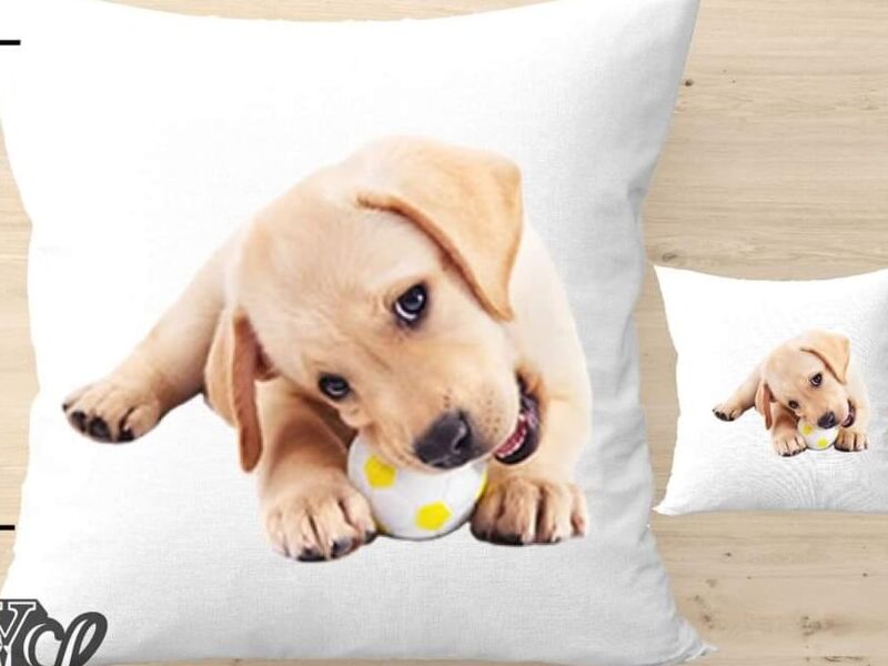 Cojin Perro