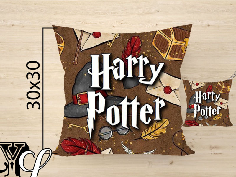 Cojin Harry Potter