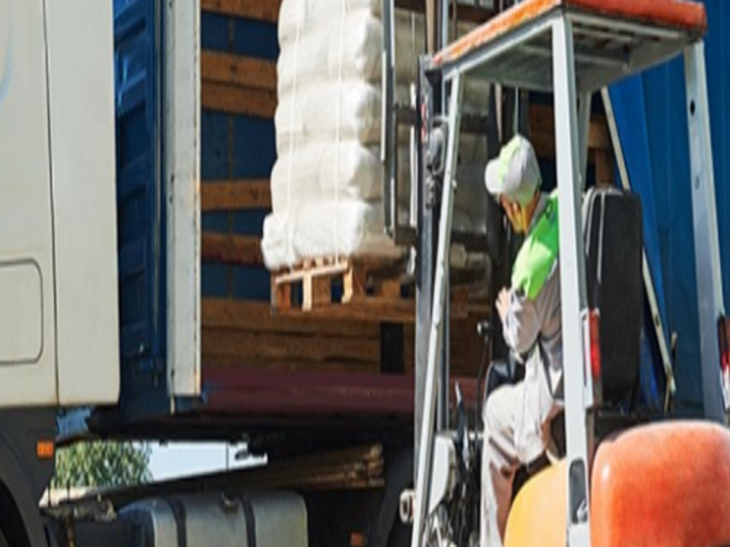 Transporte de despacho M6