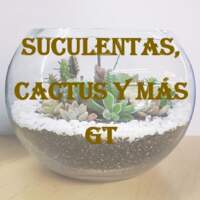 Suculentas, Cactus y Más GT