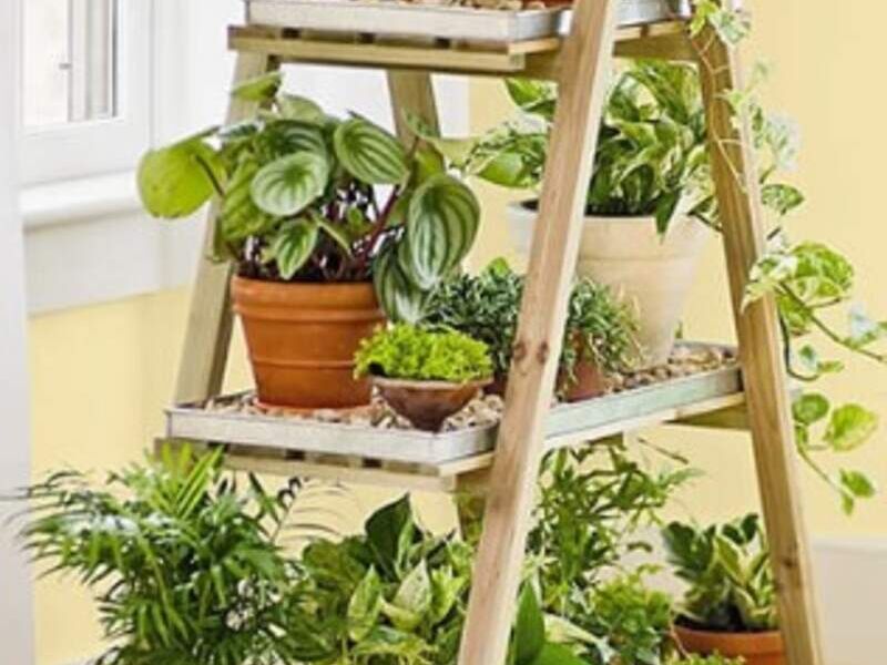 Escalera para macetas en Guatemala 