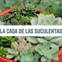 La casa de las suculentas