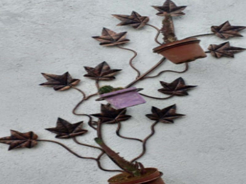 RAMAL PARA MACETAS GUATEMALA DECORACIONES