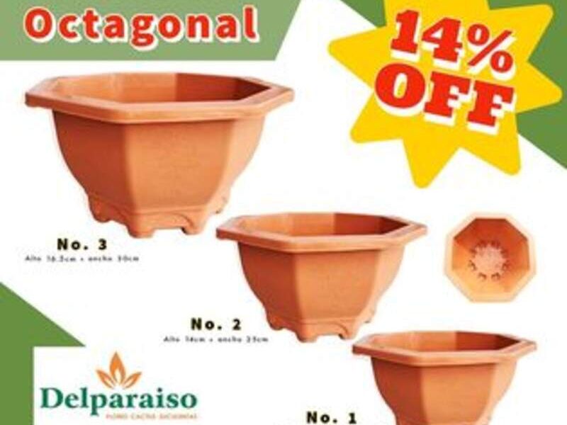 Maceta octagonal en Zona 12 Guatemala
