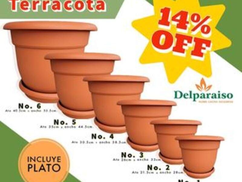 Maceta terracota en Guatemala Zona 12
