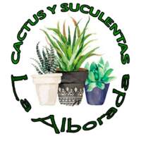 Cactus y Suculentas La Alborada