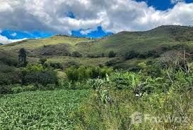 Terrenos en Venta Ibarra Centro