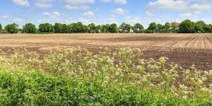 Terrenos en Venta Ibarra Norte